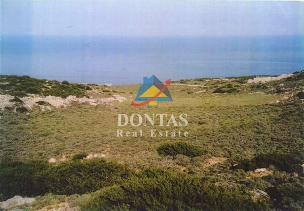 תמונת אסטיפליה למכירה (0)