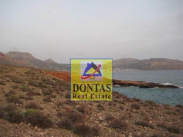 תמונת סיטיה, כרתים למכירה (0)