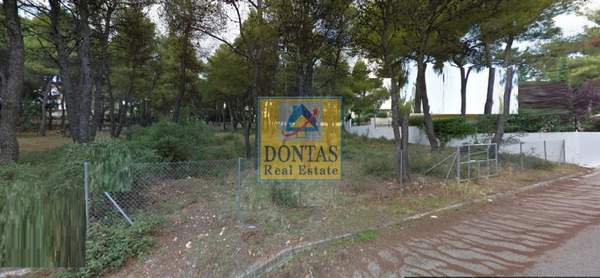 תמונת דיוניסוס, אתונה למכירה (0)