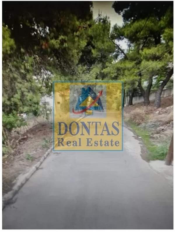 תמונת דיוניסוס למכירה (1)