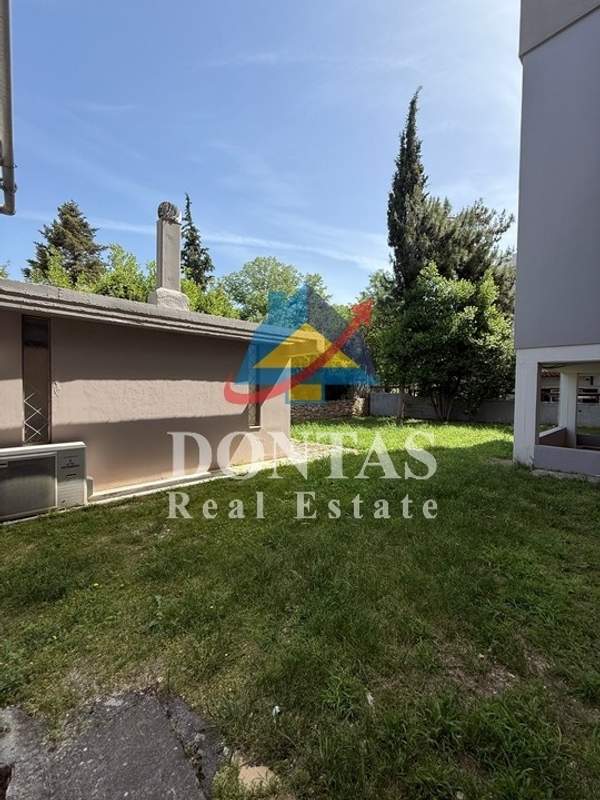 תמונת קיפיסיה למכירה (0)