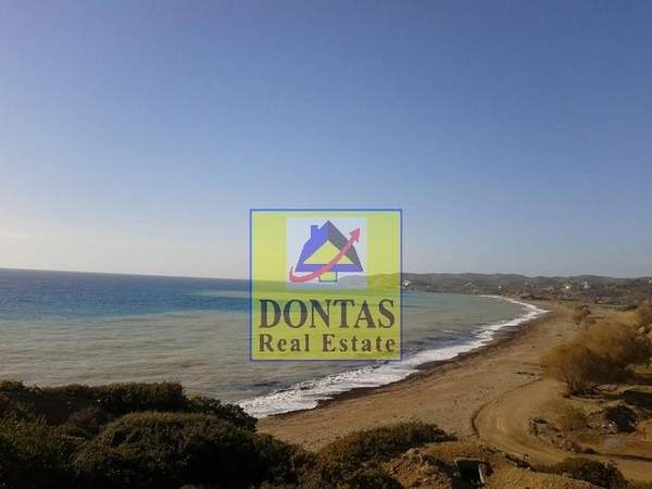 תמונת חיוס למכירה (1)