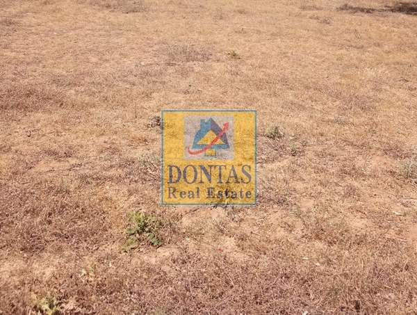 תמונת נאה קיפסלי, רשות מקומית אתונה למכירה (0)