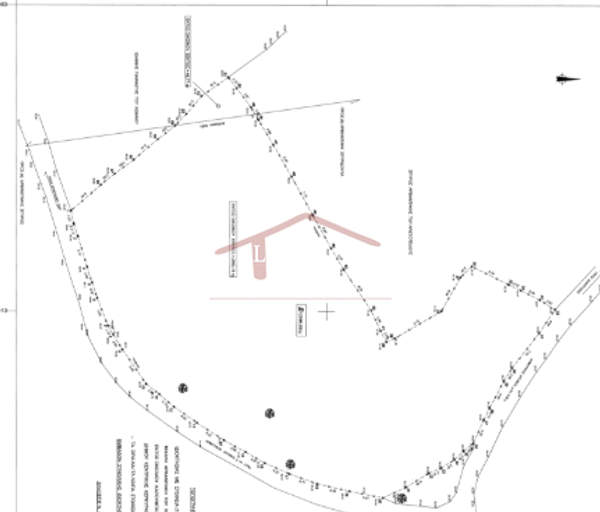 תמונת קורפו למכירה (0)