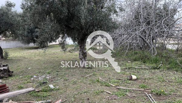 תמונת ספטה ארטמידה, אתונה למכירה (1)