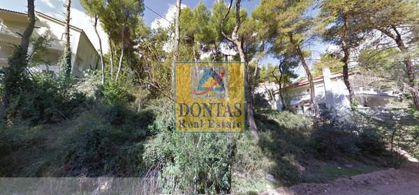 תמונת דיוניסוס למכירה (1)