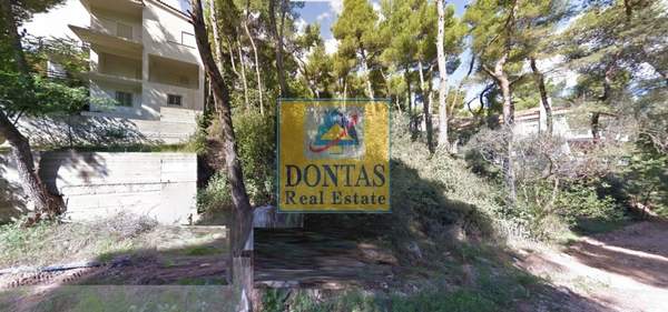 תמונת דיוניסוס למכירה (0)