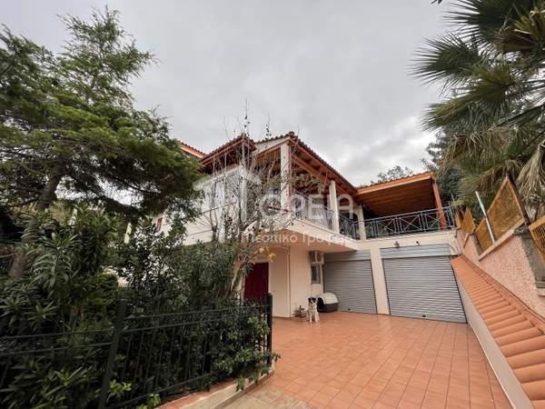 תמונת פאליה פוקיאה, סרוניקוס למכירה (0)