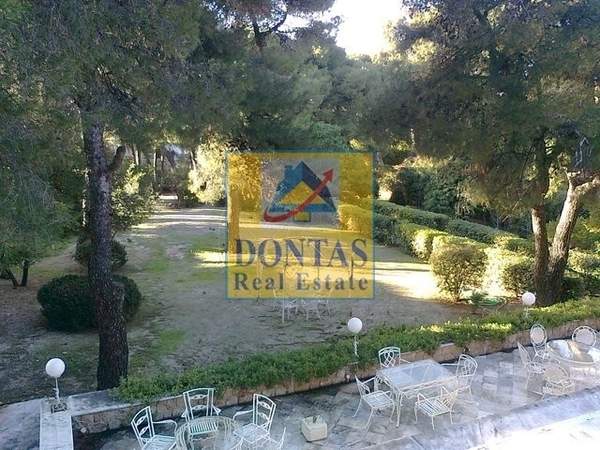 תמונת קיפיסיה למכירה (0)