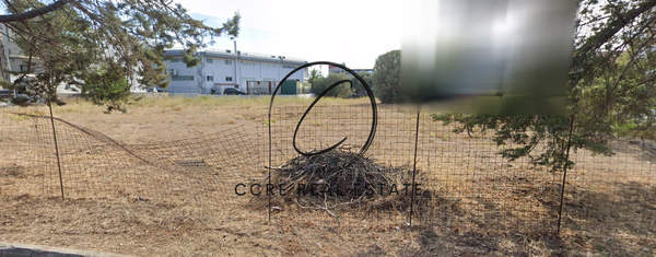 תמונת קיפיסיה למכירה (0)