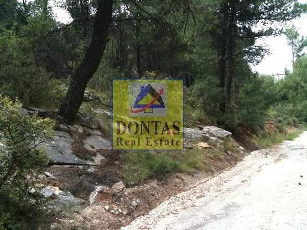 תמונת אורופוס, אתונה למכירה (1)