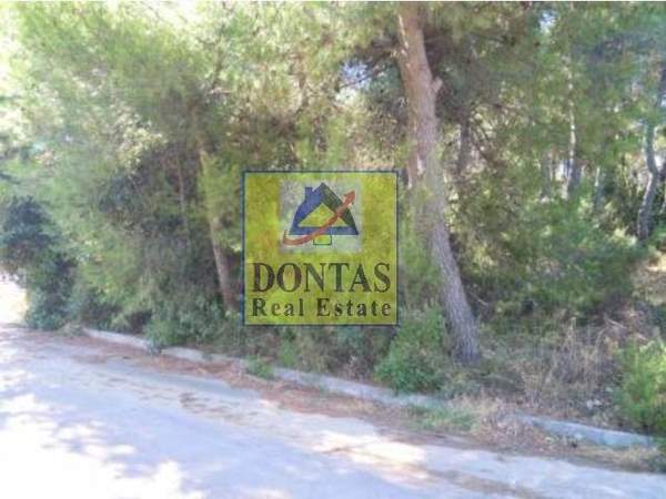 תמונת אורופוס, אתונה למכירה (0)