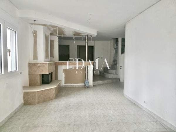 תמונת פאיליה - חורטיאטיס למכירה