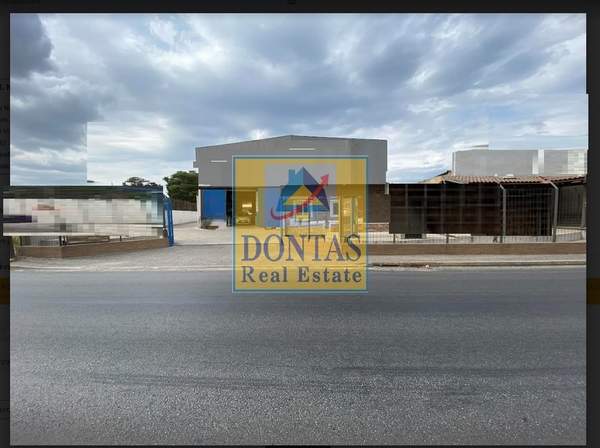 תמונת אספרופירגוס למכירה (0)