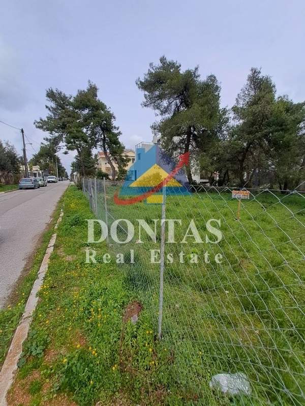 תמונת דיוניסוס למכירה (0)