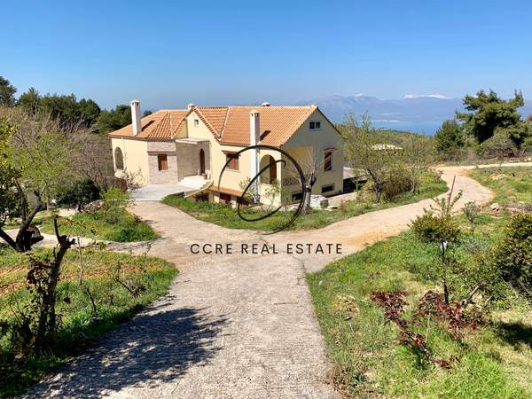 תמונת אורופוס, אתונה למכירה (0)