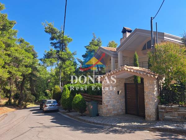 תמונת דיוניסוס למכירה (0)