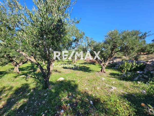 תמונת רשות מקומית זקינתוס למכירה