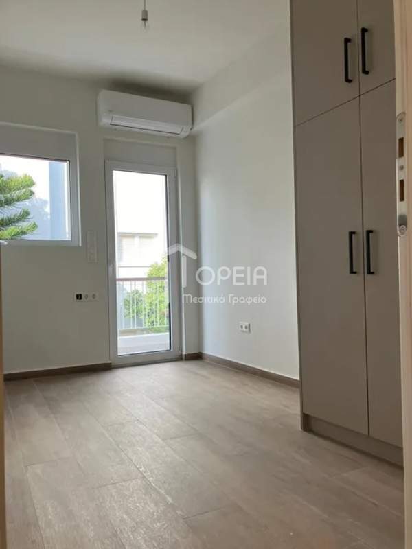 תמונת וולה, וארי - וולה -ווליאגמני למכירה (1)