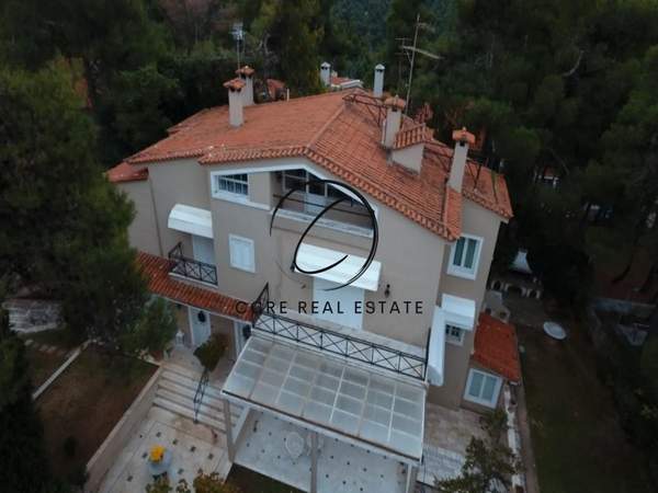 תמונת דיוניסוס, אתונה למכירה (1)