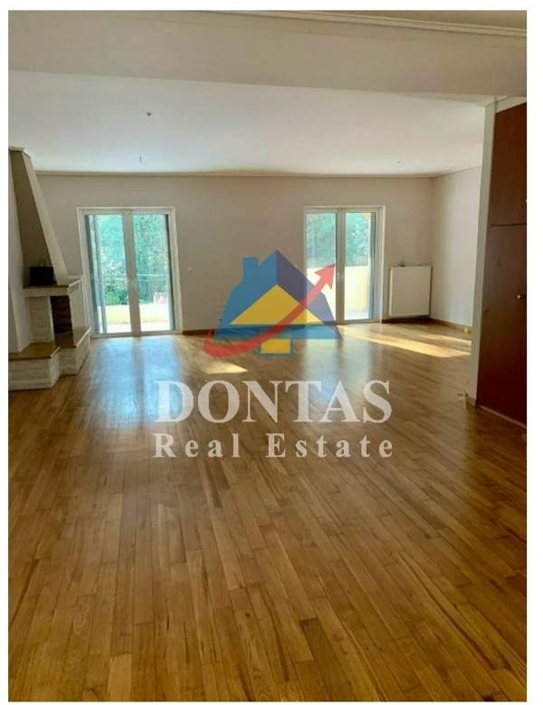 תמונת דיוניסוס למכירה (1)