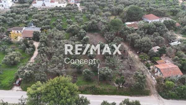 תמונת זקינתוס למכירה (1)