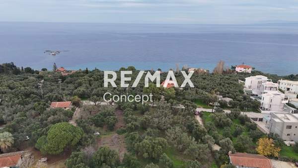 תמונת זקינתוס למכירה (0)