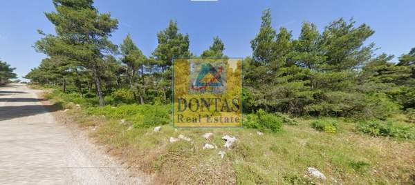 תמונת אורופוס למכירה (1)