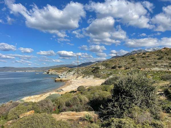 תמונת קאריסטוס למכירה (1)