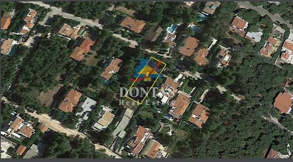 תמונת דיוניסוס למכירה (0)