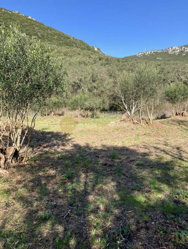 תמונת מרכז קורפו למכירה (0)