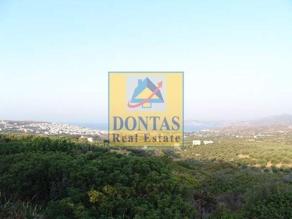 תמונת סיטיה, כרתים למכירה (0)