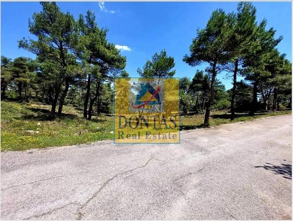 תמונת אורופוס, אתונה למכירה