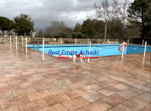 תמונת איגאליאה למכירה (0)