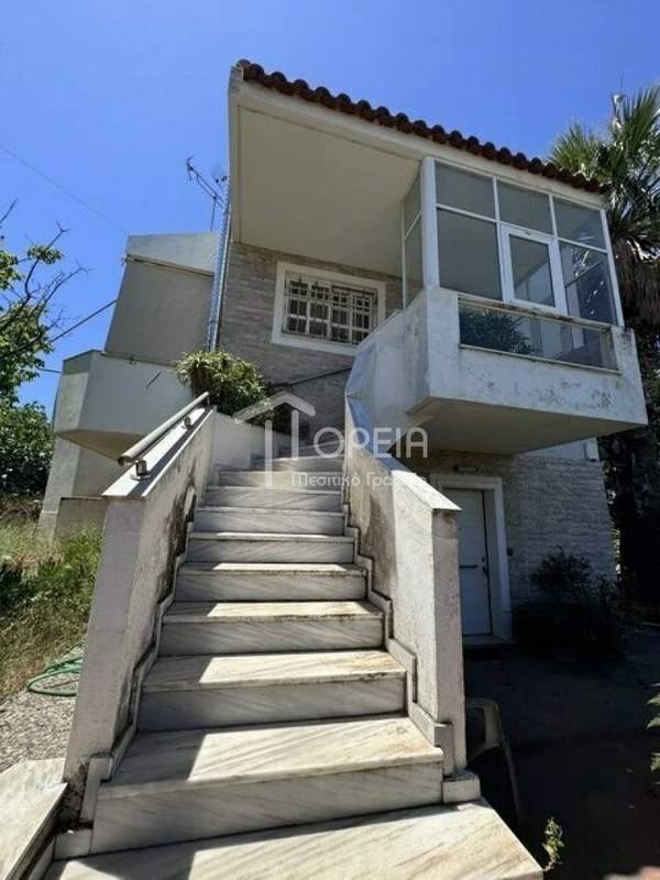 תמונת סרוניקוס, אתונה למכירה (1)