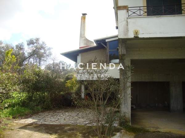 תמונת קורפו למכירה