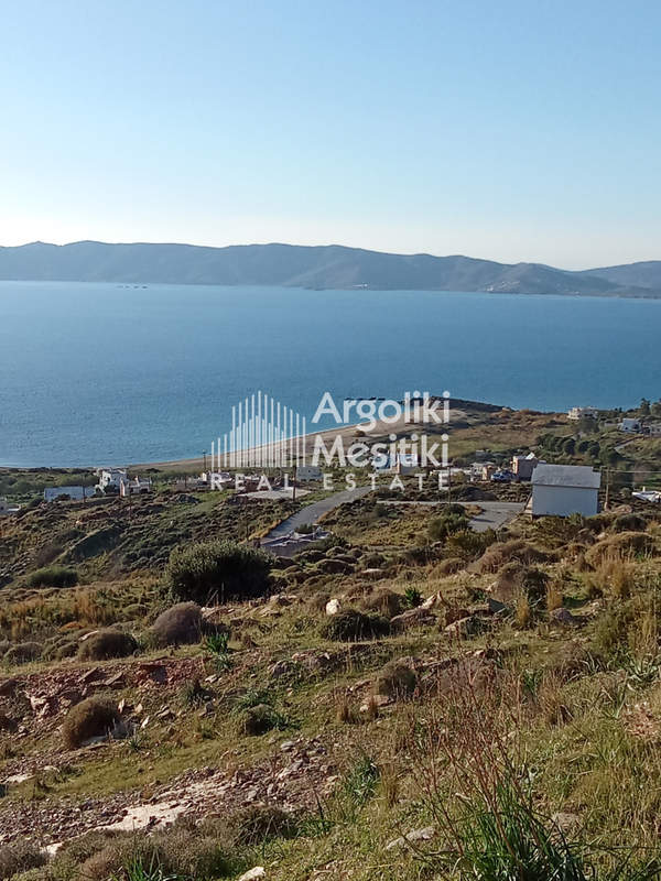 תמונת קאריסטוס, אוויה למכירה (1)