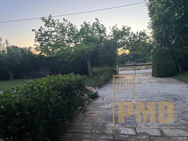 תמונת סרוניקוס למכירה (1)