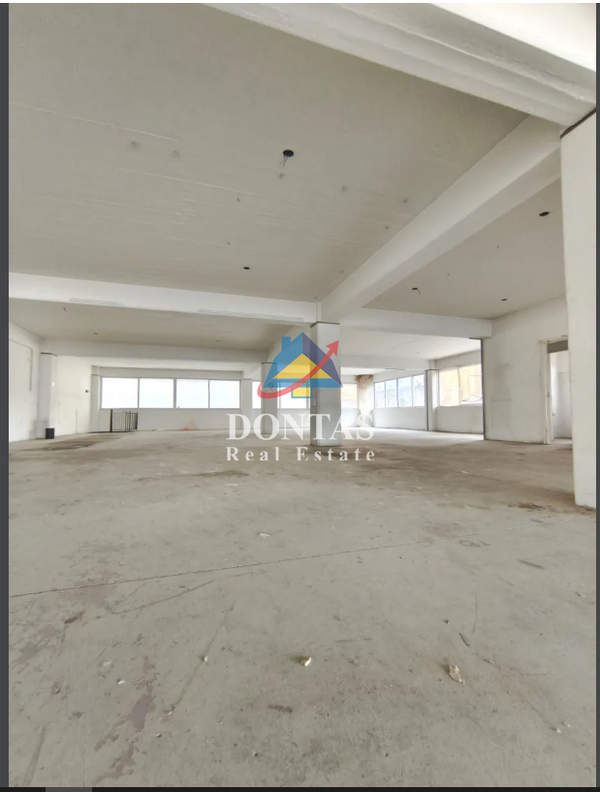 תמונת מטמורפוסי, אתונה למכירה