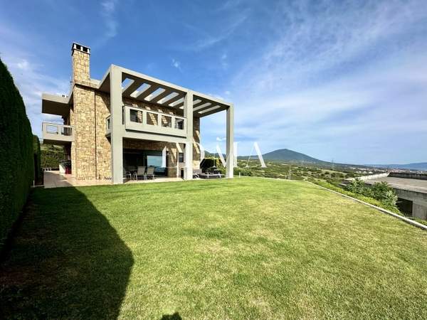 תמונת פאיליה - חורטיאטיס למכירה (0)