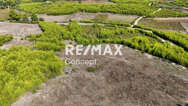 תמונת זקינתוס למכירה (1)