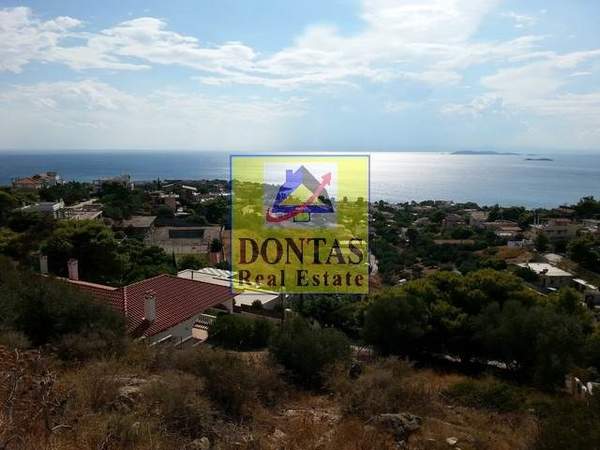 תמונת סרוניקוס למכירה