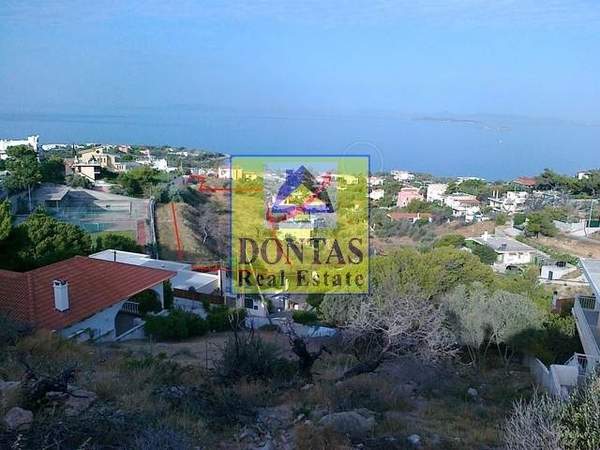 תמונת סרוניקוס למכירה