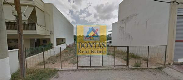 תמונת אכרניס, אתונה למכירה (0)