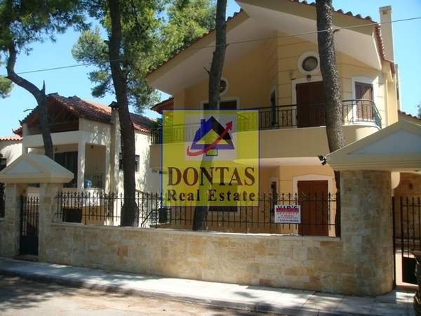 תמונת דיוניסוס למכירה (0)