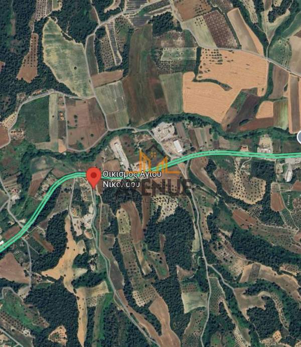 תמונת קסנדרה למכירה