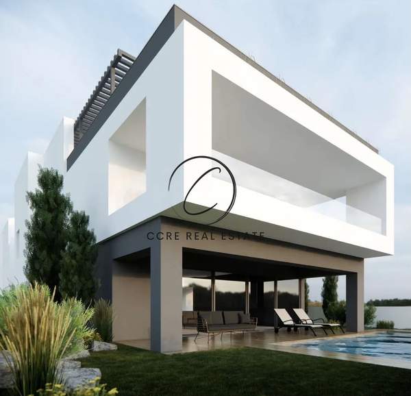 תמונת קיפיסיה, אתונה למכירה (1)