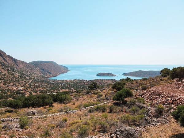 תמונת אגיוס ניקולאוס  למכירה