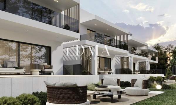 תמונת קסנדרה, כלקידיקי למכירה (1)