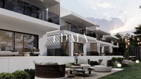 תמונת קסנדרה, כלקידיקי למכירה